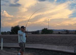 Fly Fishing For Carp in Arizona